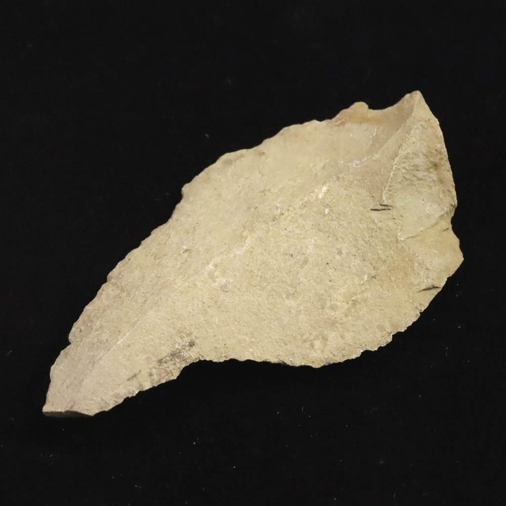 打製石器  78mm  後期旧石器時代 東北・北海道地域 20.2g #87440 | 2枚目