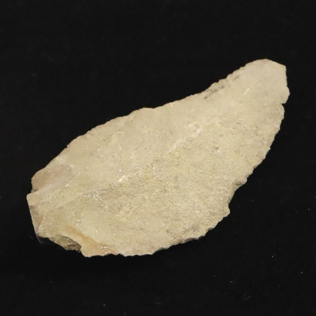 打製石器  78mm  後期旧石器時代 東北・北海道地域 20.2g #87440 | 4枚目