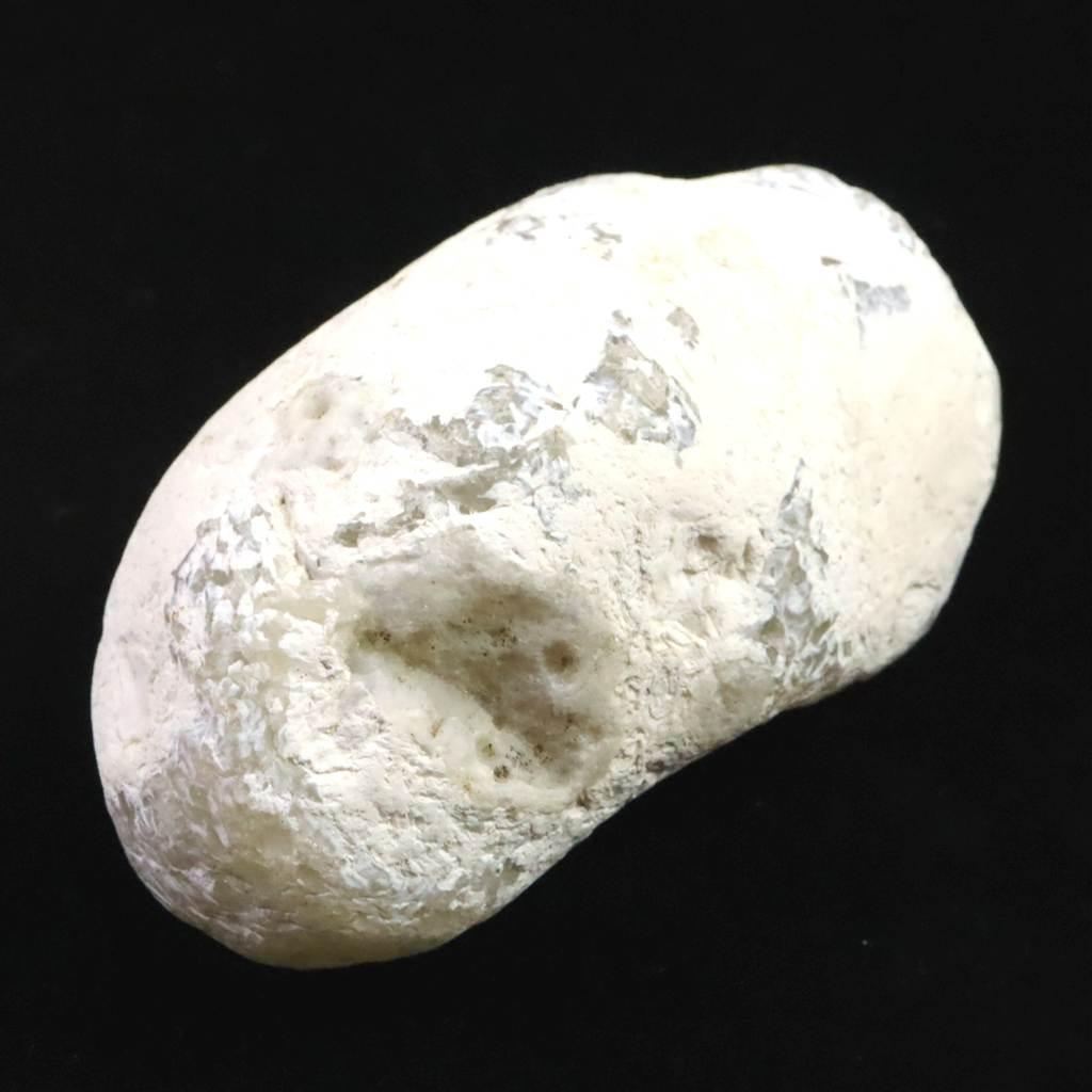 島根県大津島産　指状玉髄　カルセドニー 64mm原石 101g #35852 | 5枚目